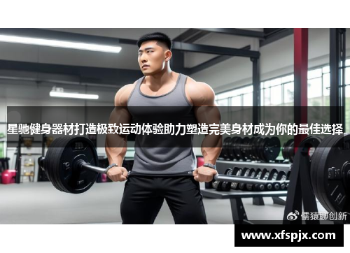 星驰健身器材打造极致运动体验助力塑造完美身材成为你的最佳选择